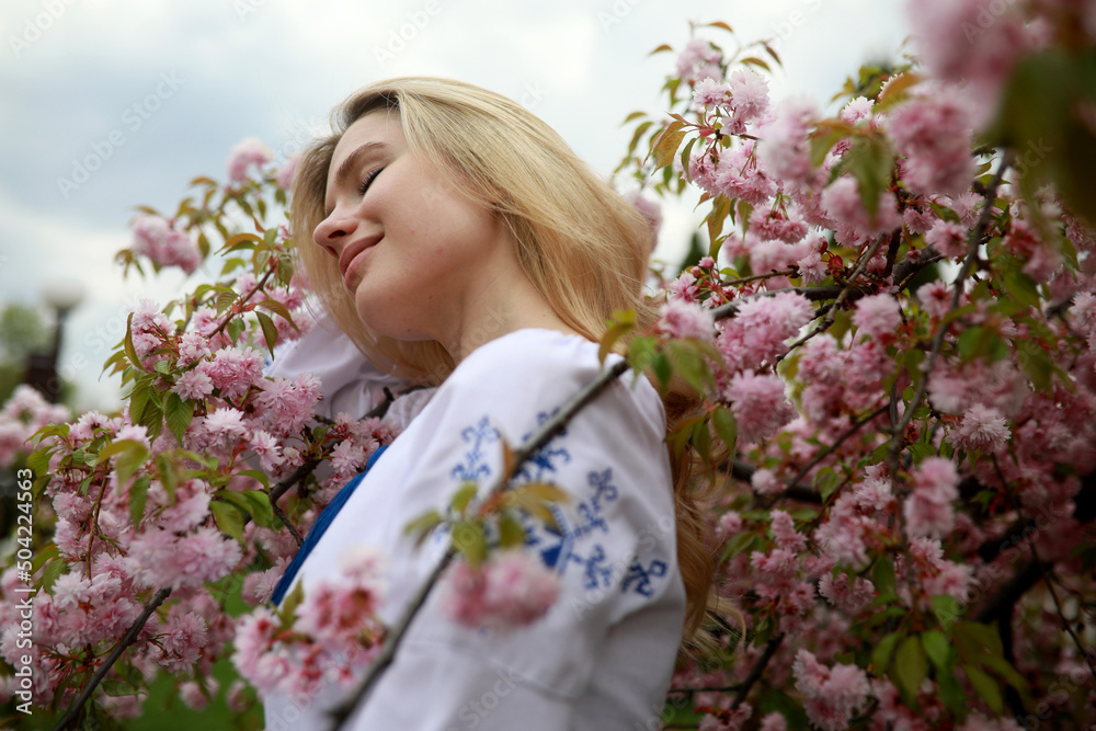 Fototapeta premium Portrait of young blonde woman in garden enjoying by blooming sakura trees.