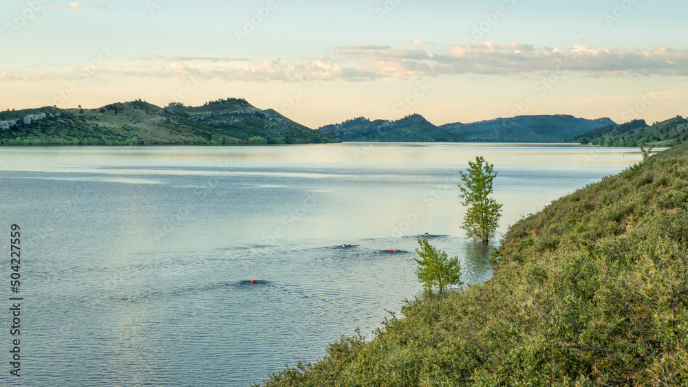 open water swimmers with a swim buoy on a calm lake, summer morning workout at sunrise