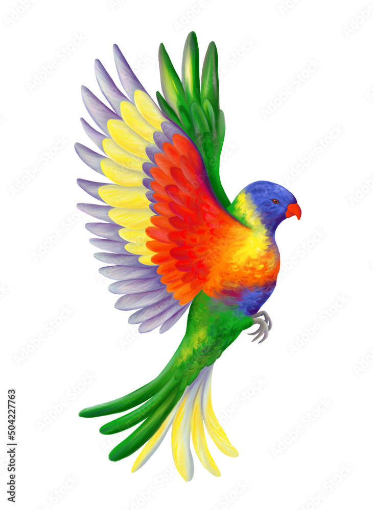 Flying rainbow lorikeet. Colorful vivid parrot. Tropical jungle bird. Realistic illustration isolated on white.