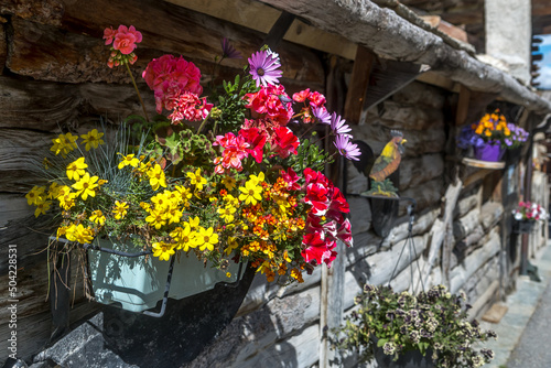 Jardinière suspendue pour décoration , village de Saint Véran dans les Hautes-Alpes , France