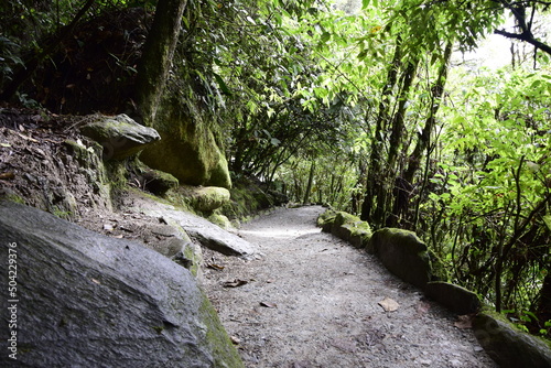Forest road to entrance to Pailon del Diablo, wonderful waterfall in america latina. Banos. photo