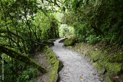 Forest road to entrance to Pailon del Diablo, wonderful waterfall in america latina. Banos.
