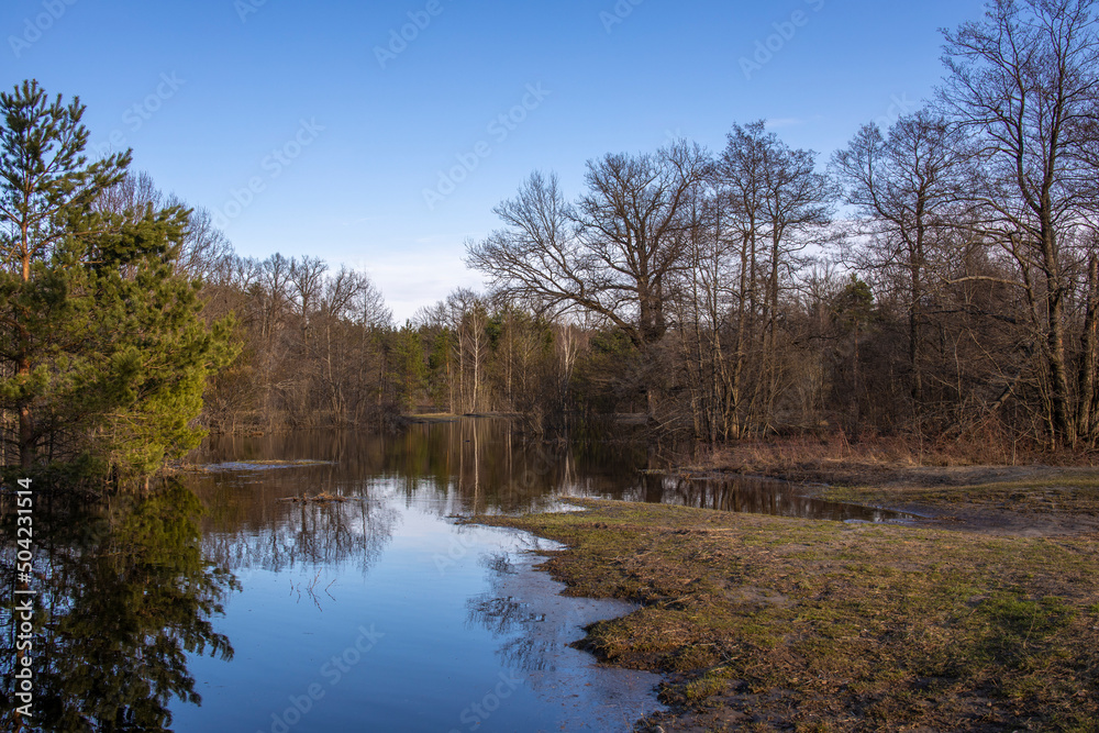High water in early spring. Landscape with a river and trees in the background. The sky is reflected in the river.