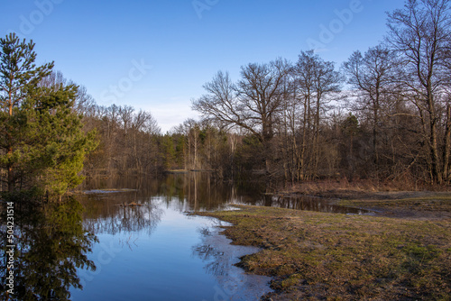 High water in early spring. Landscape with a river and trees in the background. The sky is reflected in the river.