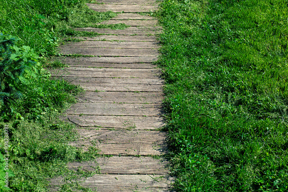 aged shabby planks on backyard terrace of footpath landscaped from wooden way among overgrown green grass and among the mowed lawn grass scattered along planks closeup, the path lit by sunlight. aged shabby planks on backyard terrace of footpath landscaped from wooden way among overgrown green grass and among the mowed lawn grass scattered along planks closeup, the path lit by sunlight.