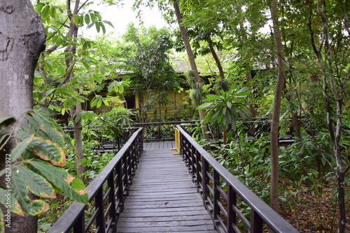 Sidewalk with high railings through the forest in the Historic Park of Guayaquil, Ecuador © Андрей Поторочин