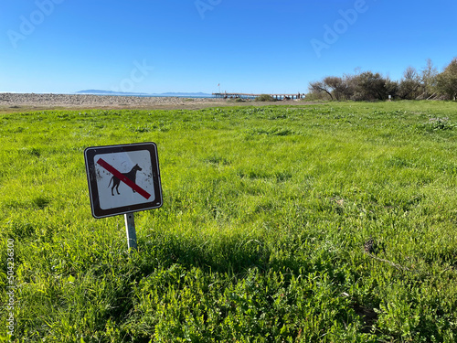 Ventura Park (No dogs allowed)