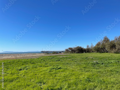 Ventura Park