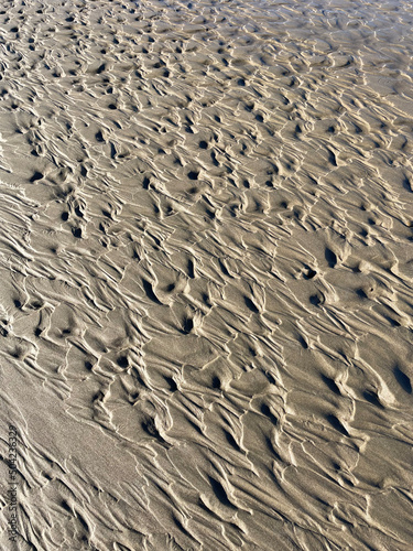 Ventura Beach