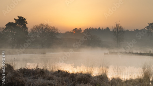 Moody misty sunrise above fens in The Netherlands