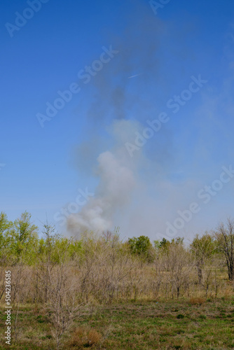 Clouds black and white smoke in forest plantation against blue sky.Wildfires during summer heat.