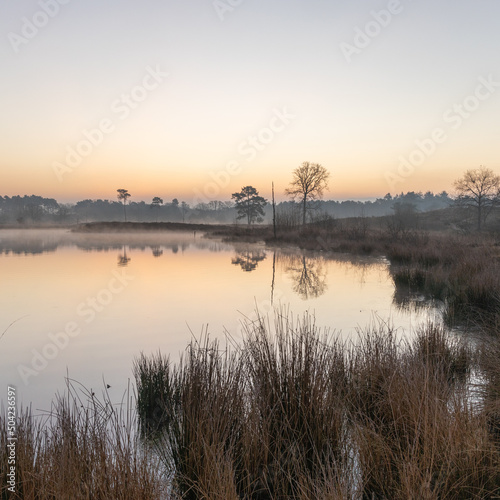 Moody sunrise above fens in The Netherlands