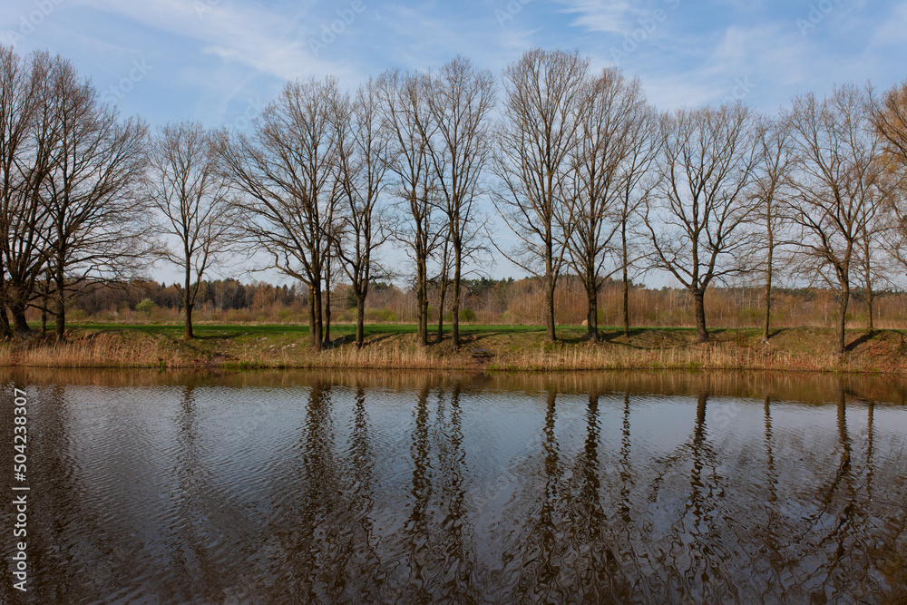landscape with trees and lake on a sunny day landscape with trees and lake on a sunny day