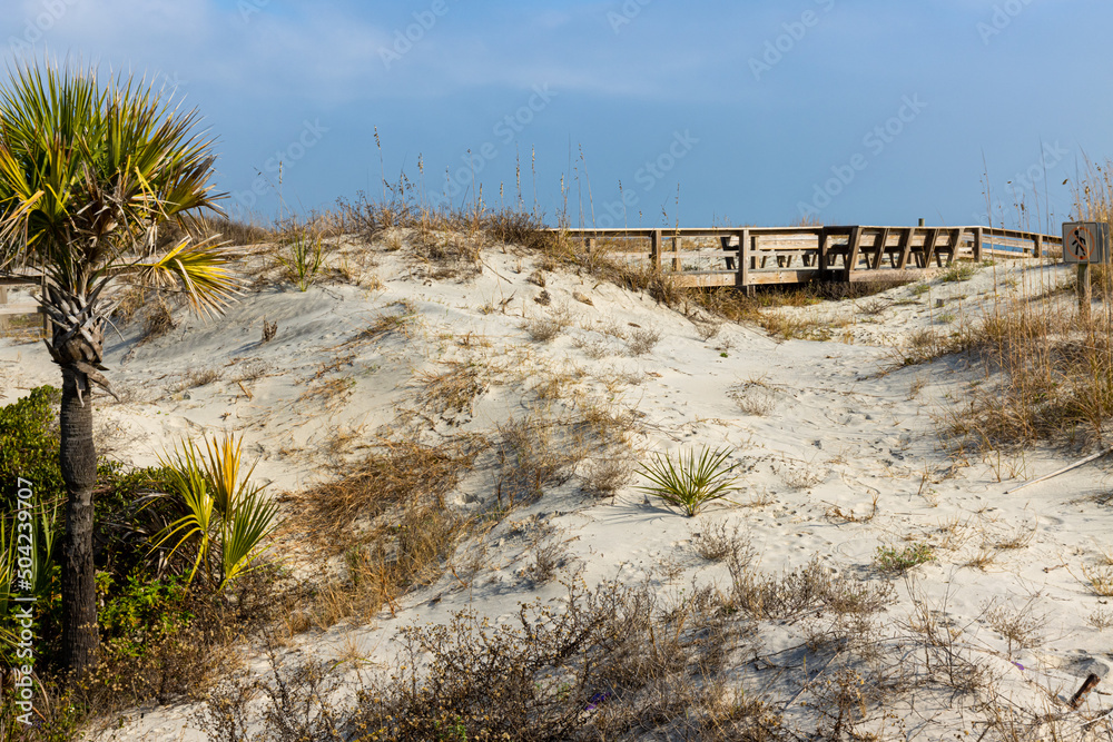 Boardwalk Over Sand Dunes  on North Beach, Tybee Island, Georgia, USA