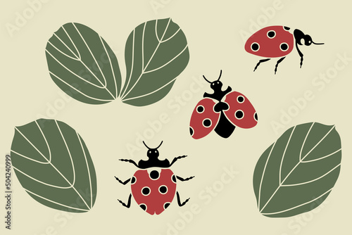 Vector color handdrawn illustration set with red ladybugs and leaves. Isolated on white background.