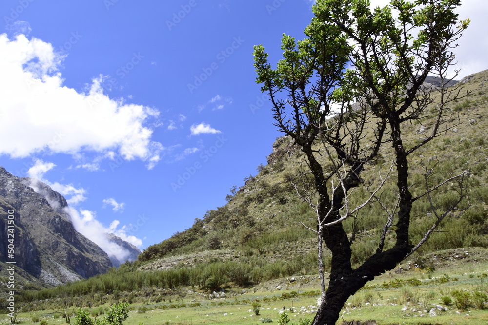 Trekking in Laguna 69, A picturesque valley between the mountains, on the way to the lagoon 60, Peru Trekking in Laguna 69, A picturesque valley between the mountains, on the way to the lagoon 60, Peru