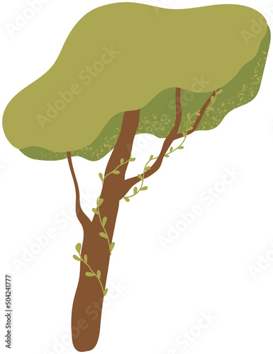 Alone deciduous tree with trunk and dense foliage. High plant with widely spread branches and green leaves. Broad-stemmed deciduous plant. Tree with green foliage isolated on white background
