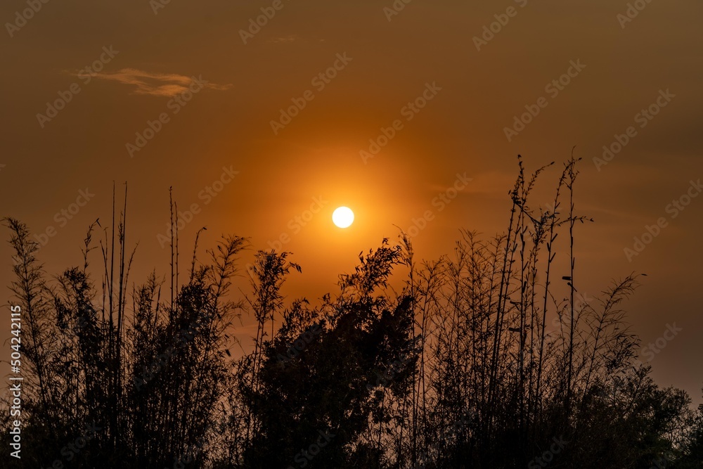 atardecer en cielo de Mexico