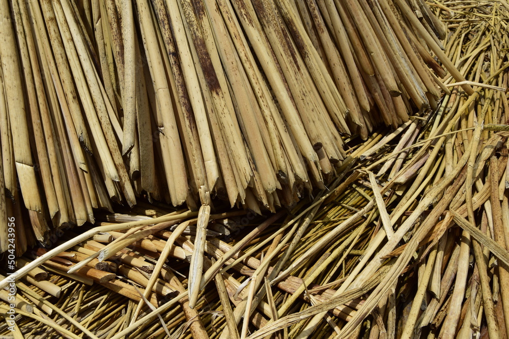 Straw on the floating islands of Lake Titicaca, close-up. Puno, Peru Straw on the floating islands of Lake Titicaca, close-up. Puno, Peru