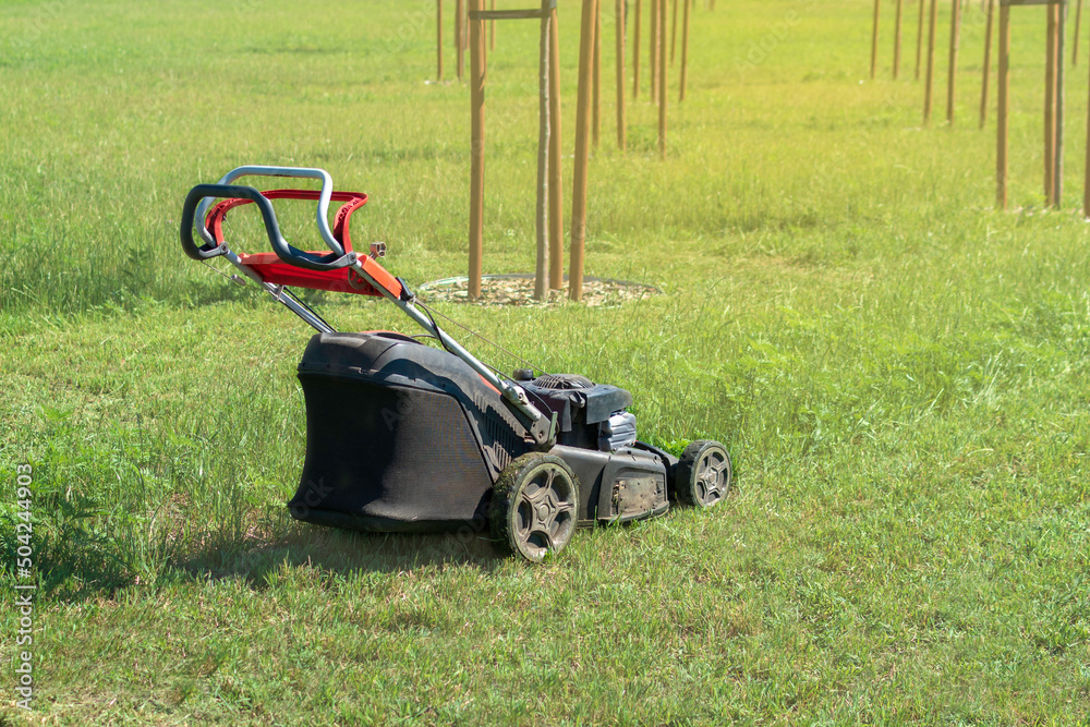 Fototapeta premium Lawn mower in a green meadow