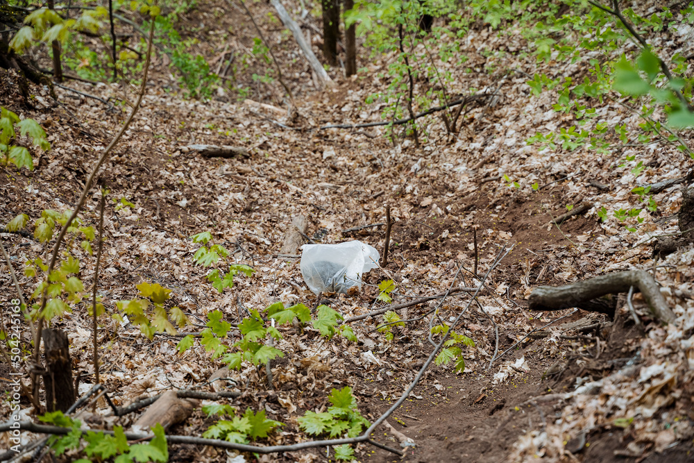 Obraz premium A plastic bag with garbage was thrown into the forest, a bag of waste lies on the ground, pollution of the city park, deliberate destruction of nature,