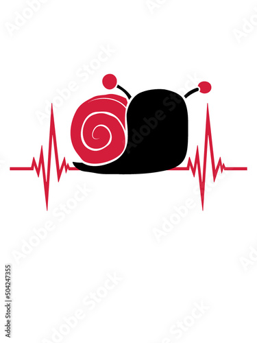 Puls kleine Schnecke 