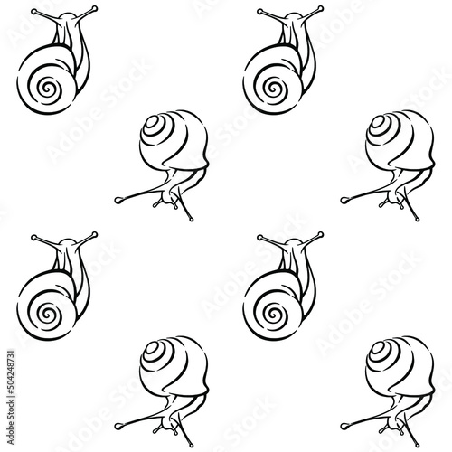 Snail on the background. Vector black and white seamless snail pattern