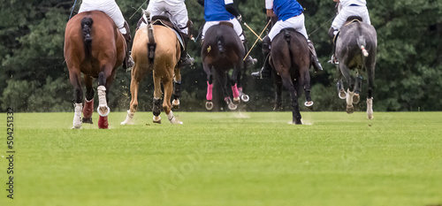 Equestrian polo players score the ball into the net. Rear view. The ground is under the hooves of horses. Mallets for ball game