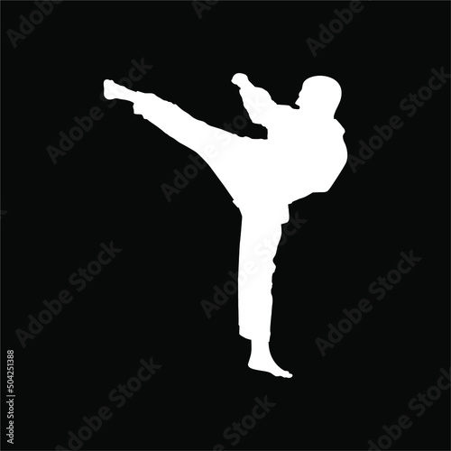 Silhouette of Martial Artist Kick (Taekwondo, Karate, Pencak Silat, Kungfu) for Logo or Graphic Design Element. Vector Illustration photo