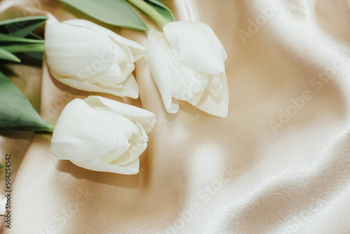 Bouquet of white tulips on silk golden nude satin background. #504254542