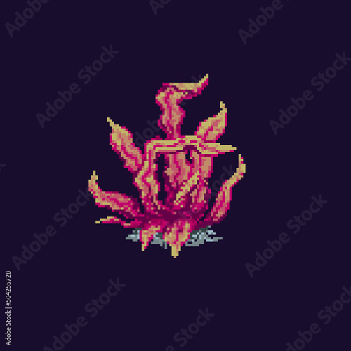 Pixel coral. Sea plant isolated on dark background. Vector