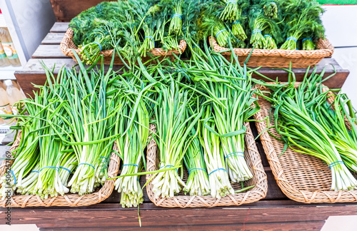 Fresh green onions and other green herbs are sold at the grocery store