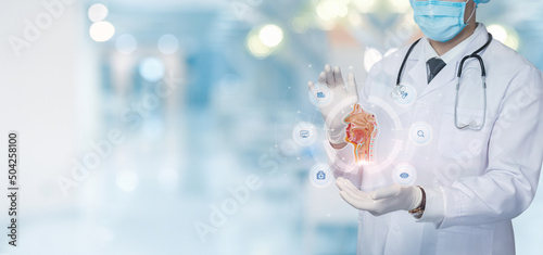 Modern technologies in the study of the anatomy of the nose and throat.