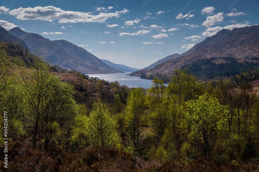Obraz premium Loch Shiel in Scotland