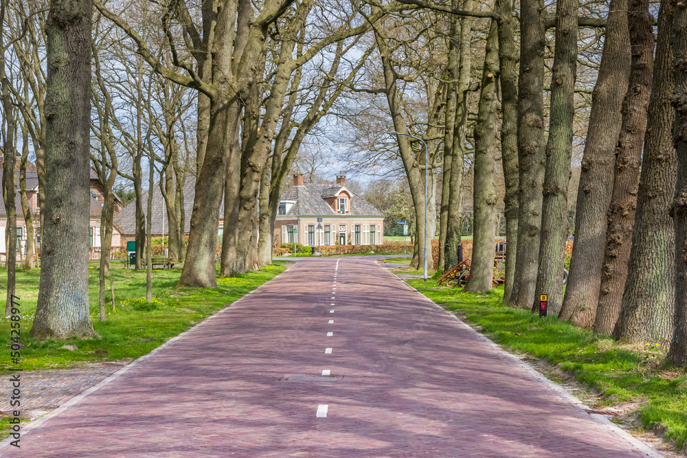 Street with trees leading to a historic house in Westervelde, Netherlands