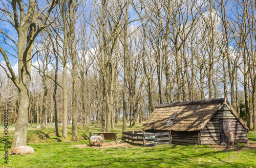 Billede på lærred Little wooden cottage on the brink square in Zuidvelde, Netherlands