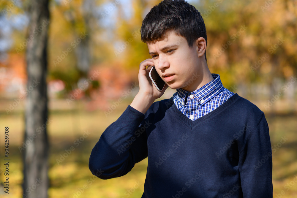 a teenage boy calls on the phone, autumn park, trees with yellow leaves on a bright sunny day a teenage boy calls on the phone, autumn park, trees with yellow leaves on a bright sunny day