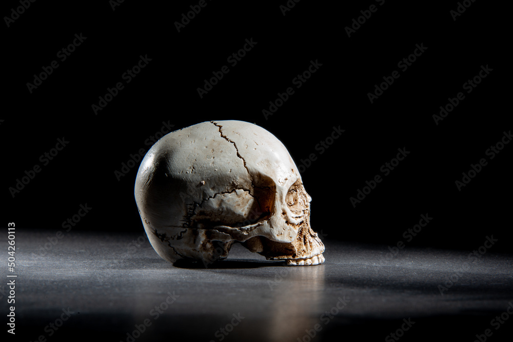 calavera sobre negro calavera sobre negro