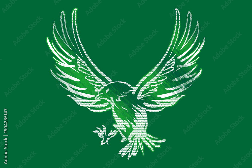 The eagle mascot spread the wings The eagle mascot spread the wings