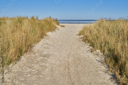 path in the dunes in Schillig, North Sea coast, Germany