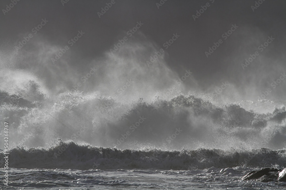 Stormy breaking sea wave