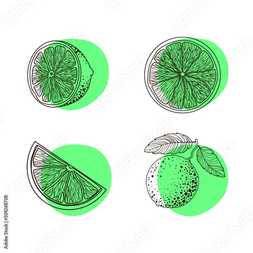 Set of four limes - round slices, on a twig, a half and a piece in the style of black doodles on a green spot. Citrus. Minimalistic style. Illustration isolated on white background