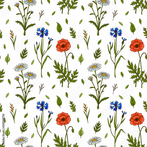 Meadow flowers summer seamless pattern. Colorful hand drawn vector illustration. Botany design