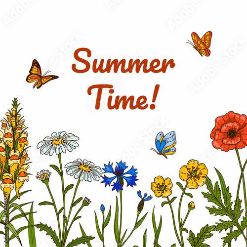 Wild flowers botany design with butterflies. Colorful hand drawn vector illustration. Summer design