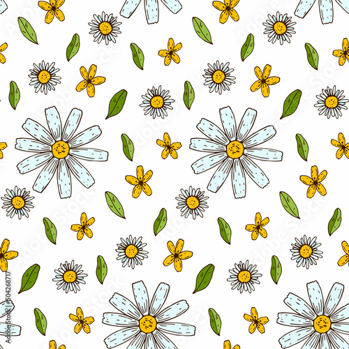 Chamomile summer seamless pattern. Colorful hand drawn vector illustration. Botany design