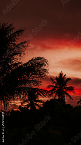 Black palm trees silhouettes at colorful sunset background, vector tropic banner illustration background, tropical sunset