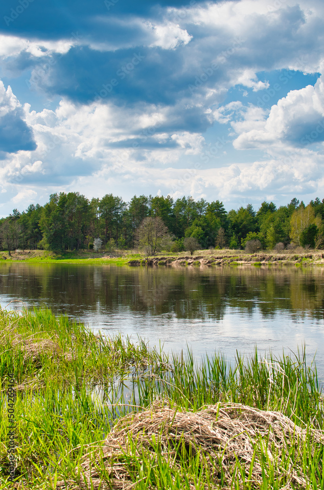 amazing Podlasie, spring in the Narew valley, landscape in May