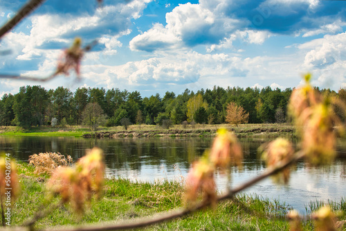 amazing Podlasie, spring in the Narew valley, landscape in May