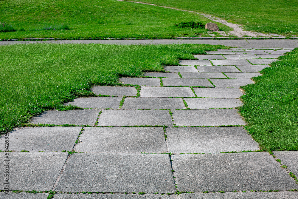 park path made of square tiles overgrown with grass in a parkland with a green lawn close up of the way on park with meadow and asphalt road lit by sun, nobody. park path made of square tiles overgrown with grass in a parkland with a green lawn close up of the way on park with meadow and asphalt road lit by sun, nobody.