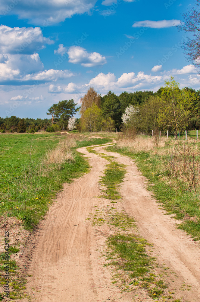 Fototapeta premium Spring landscape in Podlasie, sunny May day